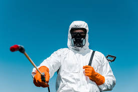 Best Residential Pest Control  in Raven, VA